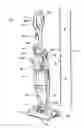 Fig. 01 - Bare floor cleaner