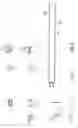 Fig. 07 - Door equalizer support and handhold