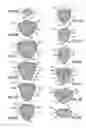Fig. 12 - Razor Handle Having Reticulated Head Portion