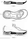 Fig. 02 - Shoe spring sole insert