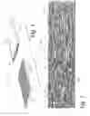 Fig. 02 - Batt for use as building material