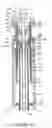 Fig. 40 - Method and machine for the production of hollow glassware articles