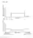 Fig. 05 - Optical fiber bundle and method of manufacture the same