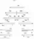 Fig. 05 - Knitting method of knitted fabric