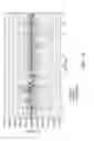 Fig. 13 - Meter electronics and methods for determining a liquid flow fraction in a gas flow material