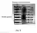 Fig. 06 - Method, chip, device and system for collection of biological particles