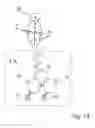 Fig. 10 - Novel Microfluidic Sample Holder