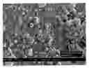 Fig. 01 - Glove coating and manufacturing process
