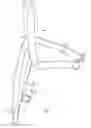 Fig. 02 - Animal training apparatus