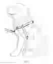 Fig. 04 - Animal training apparatus