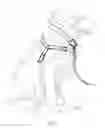 Fig. 05 - Animal training apparatus