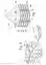 Fig. 06 - Charcoal lighting device