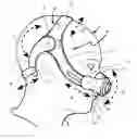 Fig. 01 - Mask Assembly