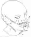 Fig. 01 - Nasal and oral patient interface