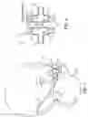 Fig. 05 - Nasal and oral patient interface