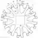 Fig. 01 - Sprocket For Easy Cleaning