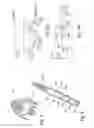 Fig. 06 - Electrical Umbrella and Canopy Mechanism
