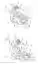 Fig. 02 - CHUCK FOR TIRE INFLATION VALVE