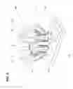 Fig. 07 - Dosage-dispensing device with a tapping mechanism
