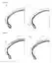 Fig. 04 - Pneumatic radial tire for motorcycle