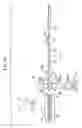 Fig. 16 - Apparatus For and Method of Manufacturing Photosensitive Laminated Bod