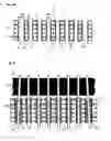 Fig. 06 - Circuit board