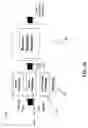 Fig. 05 - ELECTROCHEMICAL PROCESSOR FOR HYDROGEN PROCESSING AND ELECTRICAL POWER GENERATION