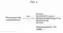 Fig. 06 - Multifunctional multipolymeric surfactants for oil and bitumen recovery and other applications