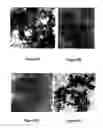 Fig. 07 - Preparation and application of stabilized iron nanoparticles for dechlorination of chlorinated hydrocarbons in soils, sediments, and ground water