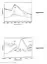 Fig. 08 - Preparation and application of stabilized iron nanoparticles for dechlorination of chlorinated hydrocarbons in soils, sediments, and ground water