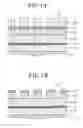 Fig. 02 - Plasma etching method, plasma etching apparatus, control program and computer-readable storage medium