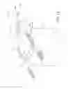 Fig. 11 - Combination disposal and dispensing apparatus and method