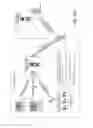 Fig. 72 - Combination disposal and dispensing apparatus and method
