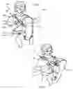 Fig. 07 - Baby carrier