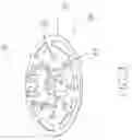 Fig. 04 - Leaves and seeds hand grinder