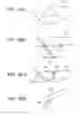Fig. 08 - Method and apparatus for specimen fabrication