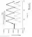 Fig. 13 - Polymeric Strain Sensor