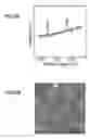 Fig. 35 - Method for Producing Gan Film, Semiconductor Device, Method for Generating Thin Film of Nitride of Group III Element and Semiconductor Device Having Thin Film of Nitride of Group III Element