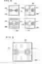 Fig. 04 - Nitride semiconductor light-emitting device and method for fabrication thereof