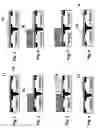Fig. 02 - Methods for manufacturing a CMOS device with dual dielectric layers