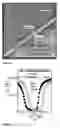 Fig. 14 - Methods for manufacturing a CMOS device with dual dielectric layers