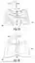 Fig. 13 - DISPERSING FRAGRANCES