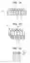 Fig. 02 - Method of regenerating molding die for use in molding porous structure body