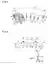 Fig. 04 - Tire curing metal mold