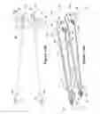 Fig. 15 - Diverting flat belt support system