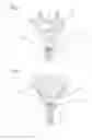 Fig. 03 - Planar Seal