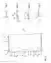 Fig. 04 - Pipe section provided with a socket end part