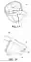 Fig. 07 - Golf ball retriever