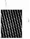 Fig. 02 - RETRO-EMISSION SYSTEMS COMPRISING MICROLENS ARRAYS AND LUMINESCENT EMITTERS