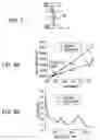 Fig. 06 - Transparent conductive nano-composites